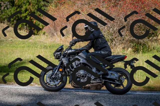 202510191215-DSC_9024_c2