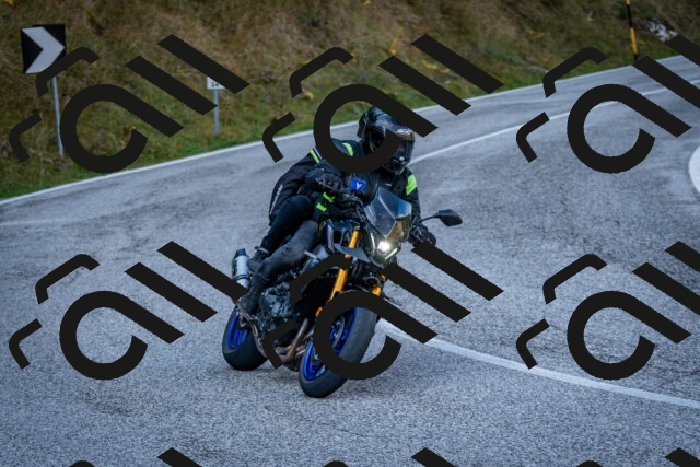 202510191217-DSC_9025_c2