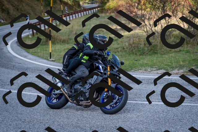 202510191217-DSC_9027_c2