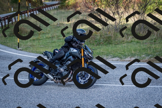 202510191219-DSC_9030_c2