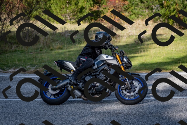 202510191219-DSC_9031_c2