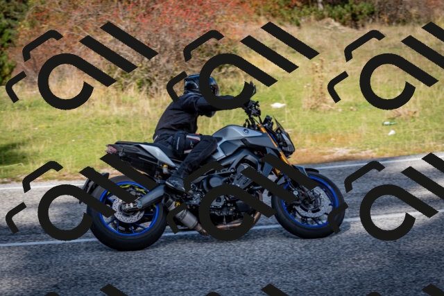 202510191219-DSC_9032_c2