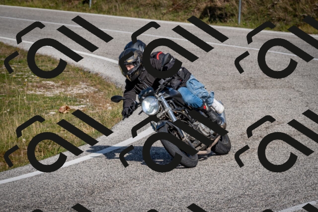 202510191219-DSC_9034_c2