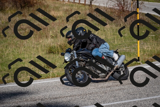 202510191219-DSC_9035_c2