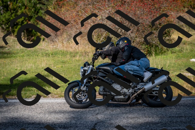 202510191219-DSC_9036_c2