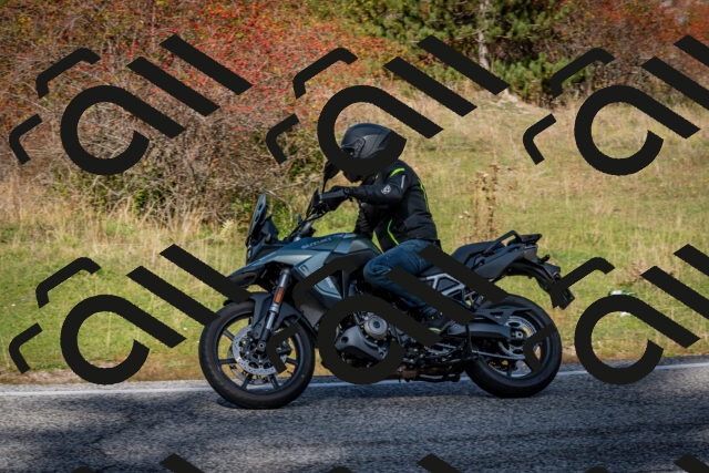 202510191220-DSC_9039_c2