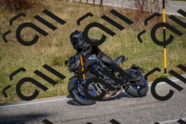 202510191220-DSC_9044_c2