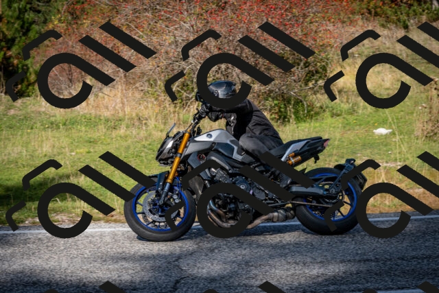 202510191220-DSC_9045_c2