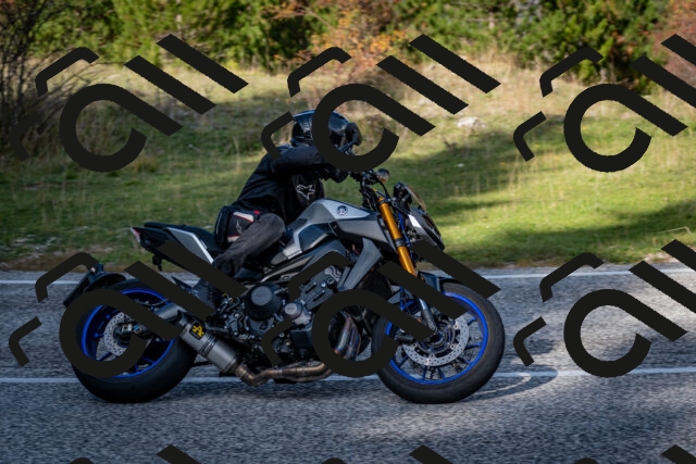 202510191221-DSC_9047_c2