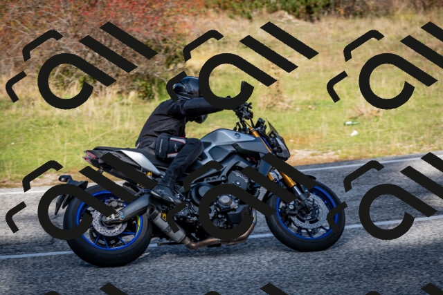 202510191221-DSC_9048_c2