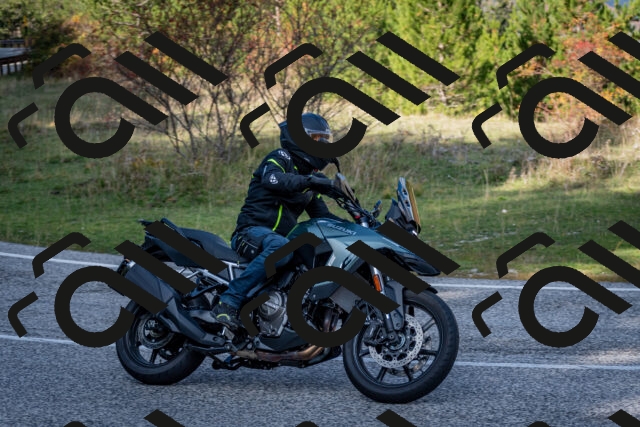 202510191221-DSC_9050_c2