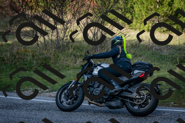 202510191222-DSC_9056_c2