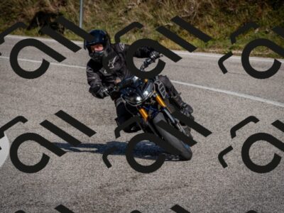 202510191222-DSC_9061_c2