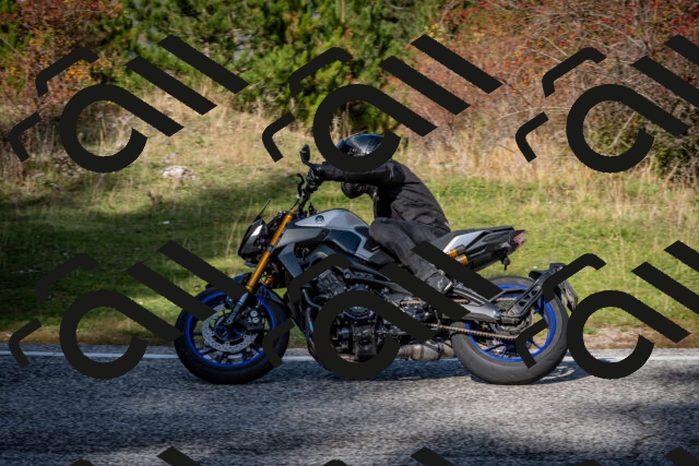 202510191222-DSC_9063_c2