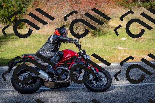 202510191224-DSC_9066_c2