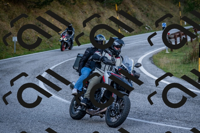 202510191225-DSC_9071_c2