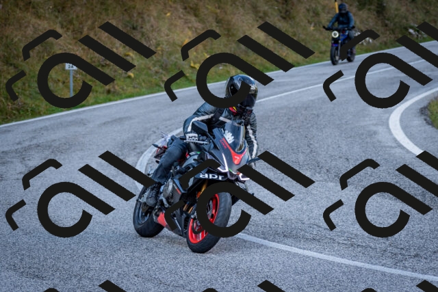 202510191225-DSC_9073_c2