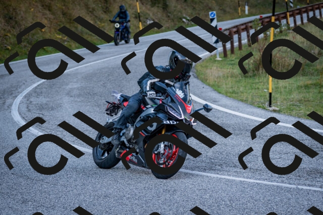 202510191225-DSC_9074_c2