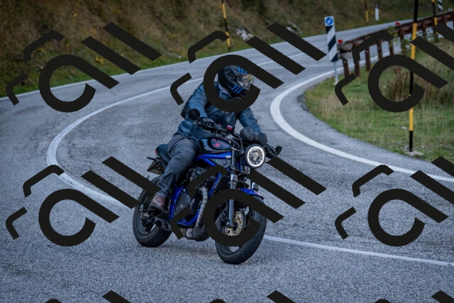 202510191225-DSC_9076_c2