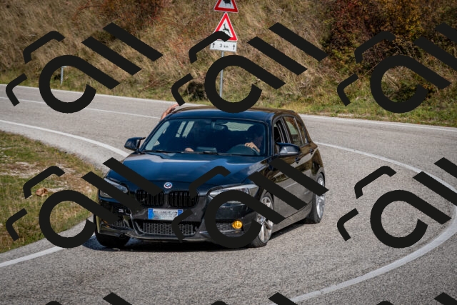 202510191226-DSC_9083_c2