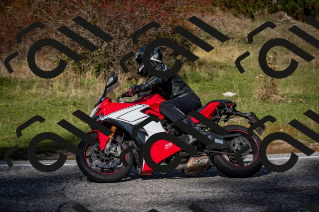 202510191230-DSC_9090_c2