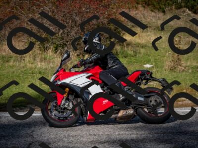 202510191230-DSC_9090_c2