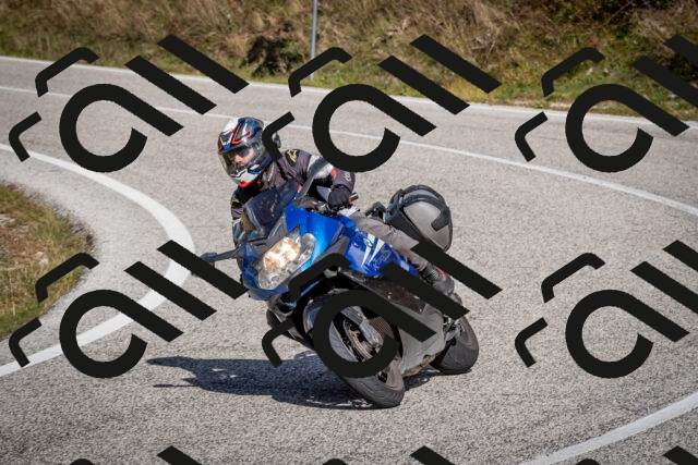 202510191231-DSC_9091_c2