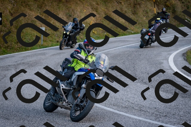 202510191231-DSC_9095_c2