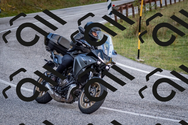 202510191231-DSC_9097_c2