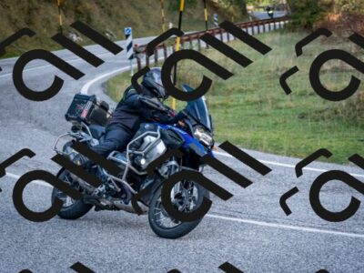 202510191231-DSC_9100_c2