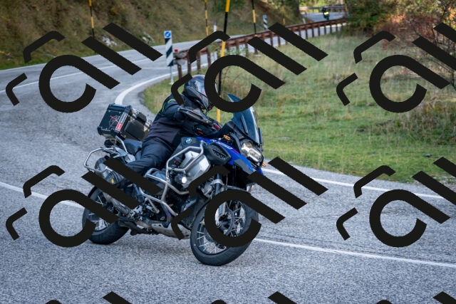 202510191231-DSC_9100_c2