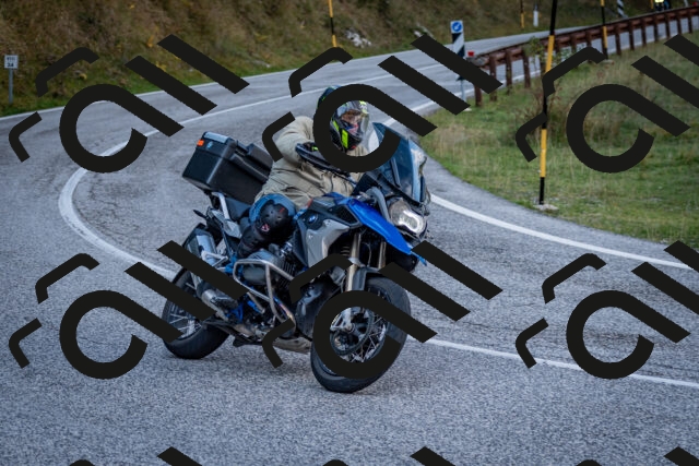 202510191231-DSC_9103_c2