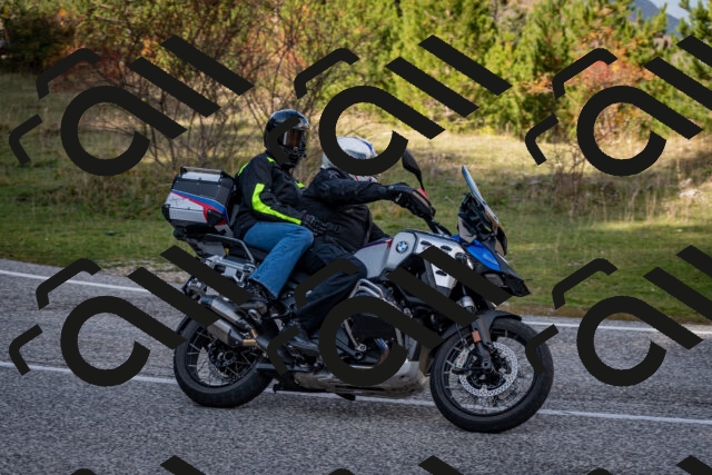 202510191231-DSC_9112_c2