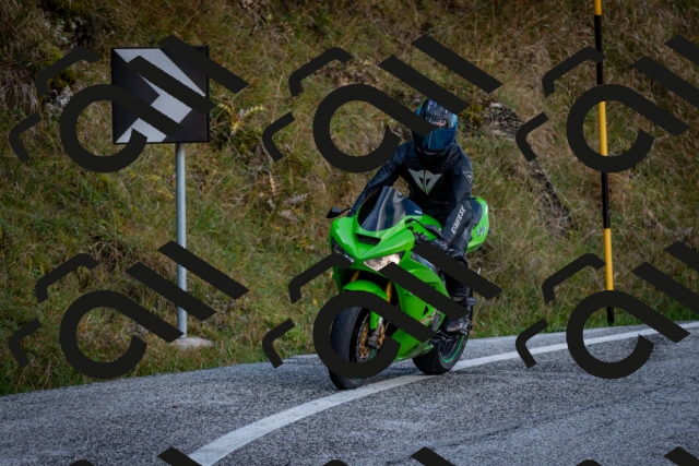 202510191232-DSC_9118_c2