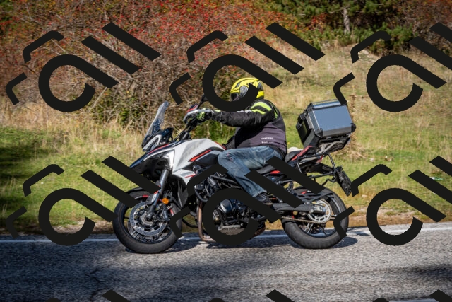 202510191236-DSC_9134_c2