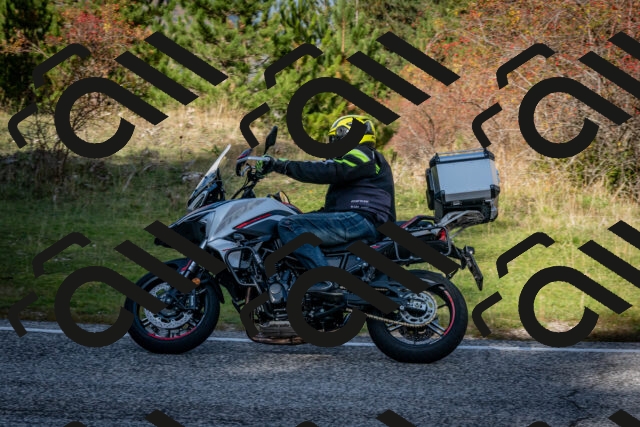 202510191236-DSC_9135_c2