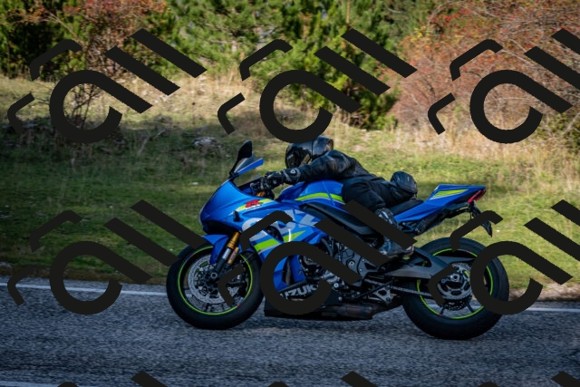 202510191236-DSC_9139_c2