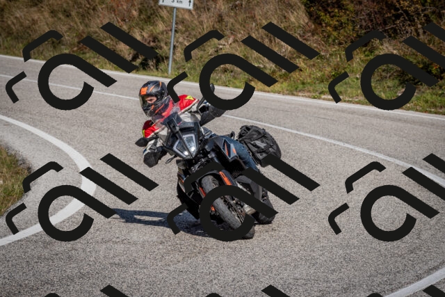 202510191237-DSC_9148_c2