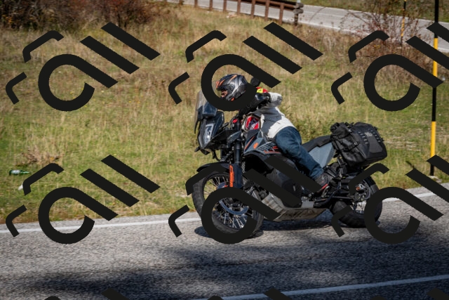 202510191237-DSC_9150_c2