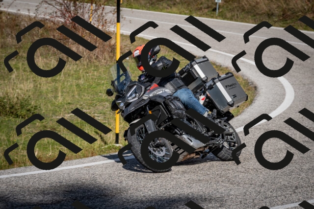 202510191237-DSC_9151_c2