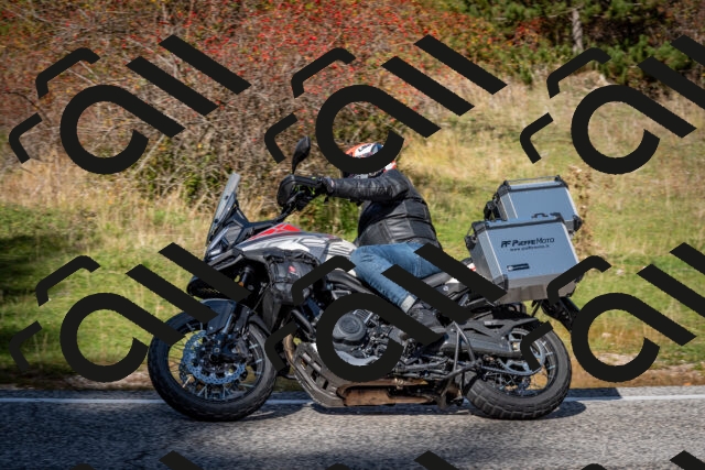 202510191237-DSC_9153_c2