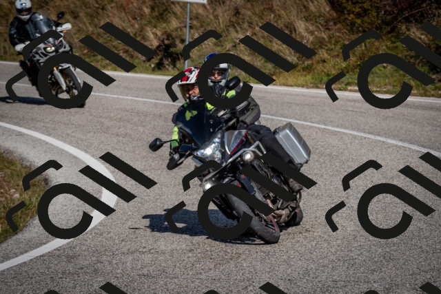 202510191242-DSC_9154_c2