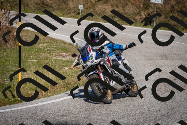 202510191242-DSC_9160_c2