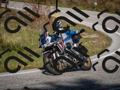 202510191242-DSC_9161_c2