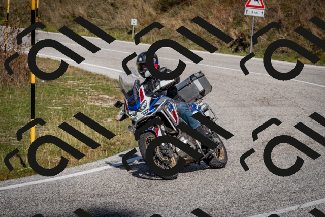 202510191242-DSC_9164_c2