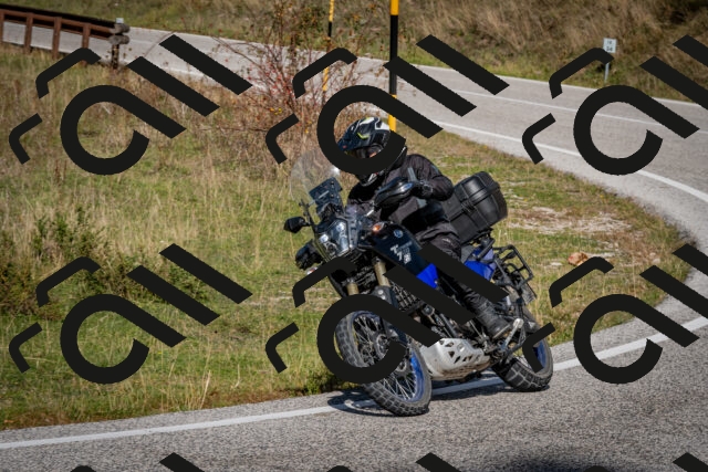 202510191242-DSC_9167_c2