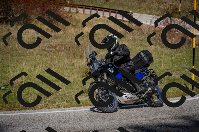 202510191242-DSC_9168_c2