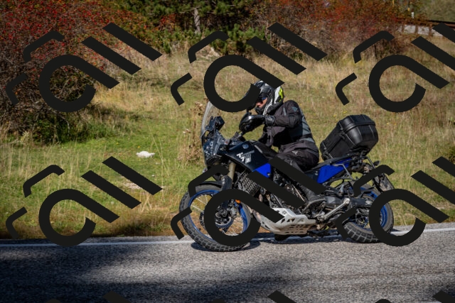 202510191242-DSC_9169_c2