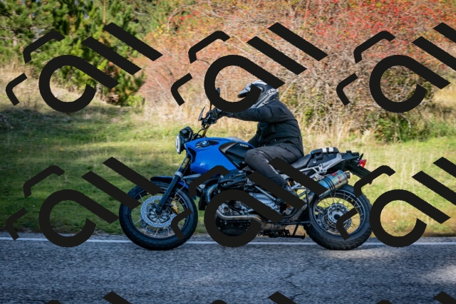 202510191243-DSC_9172_c2