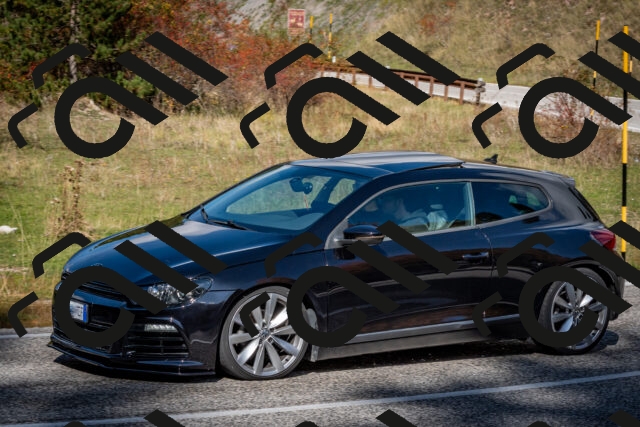 202510191243-DSC_9179_c2